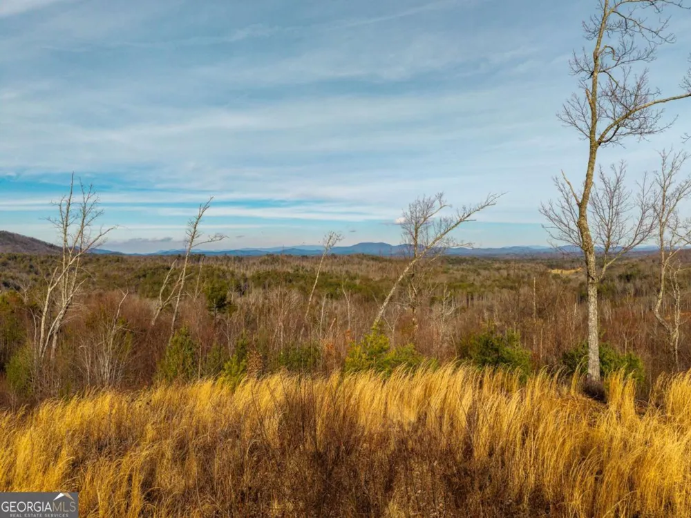 156+ Higdon Creek RD Blue Ridge, GA 30513
