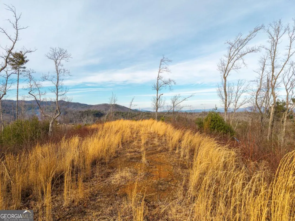 156+ Higdon Creek RD Blue Ridge, GA 30513