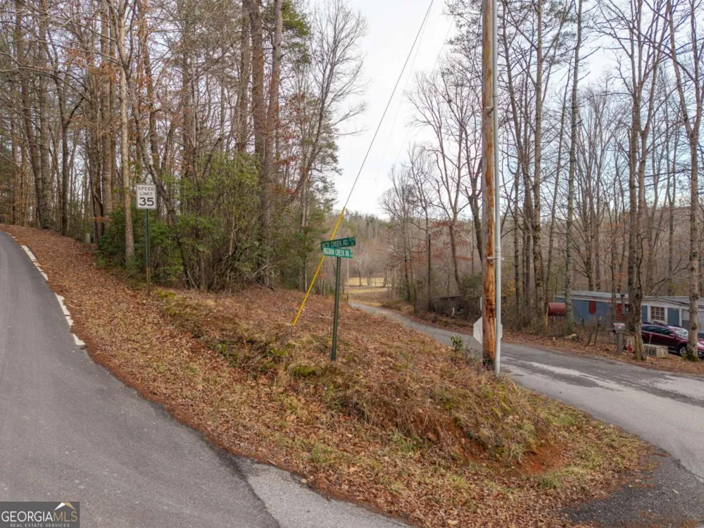 156+ Higdon Creek RD Blue Ridge, GA 30513