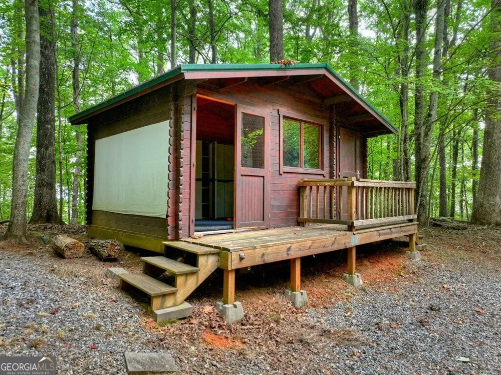541 Little Bushy Head RD Blue Ridge, GA 30513