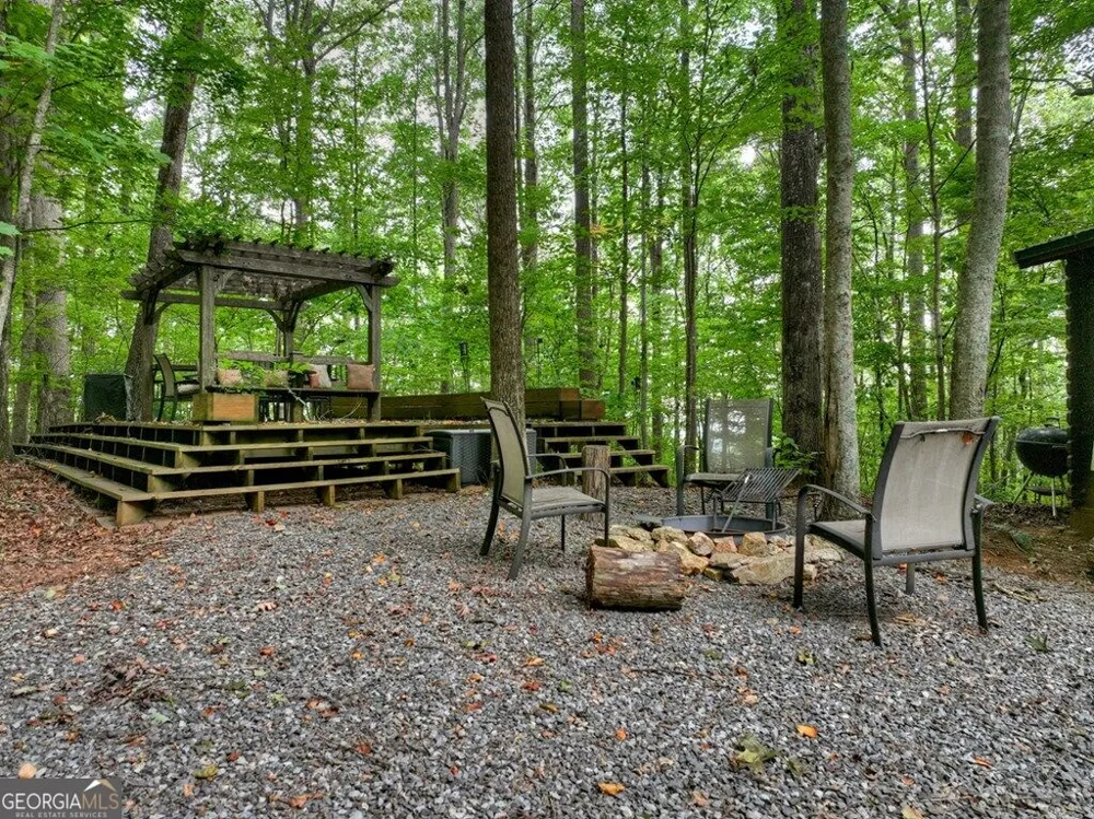 541 Little Bushy Head RD Blue Ridge, GA 30513