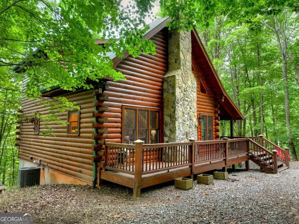 541 Little Bushy Head RD Blue Ridge, GA 30513