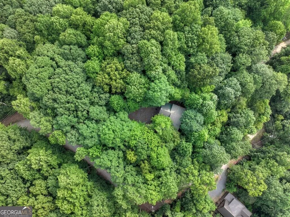 541 Little Bushy Head RD Blue Ridge, GA 30513