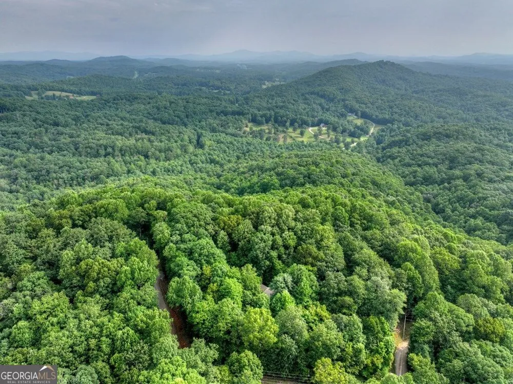 541 Little Bushy Head RD Blue Ridge, GA 30513