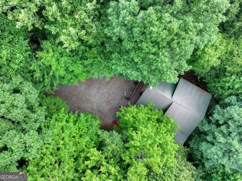 541 Little Bushy Head RD Blue Ridge, GA 30513