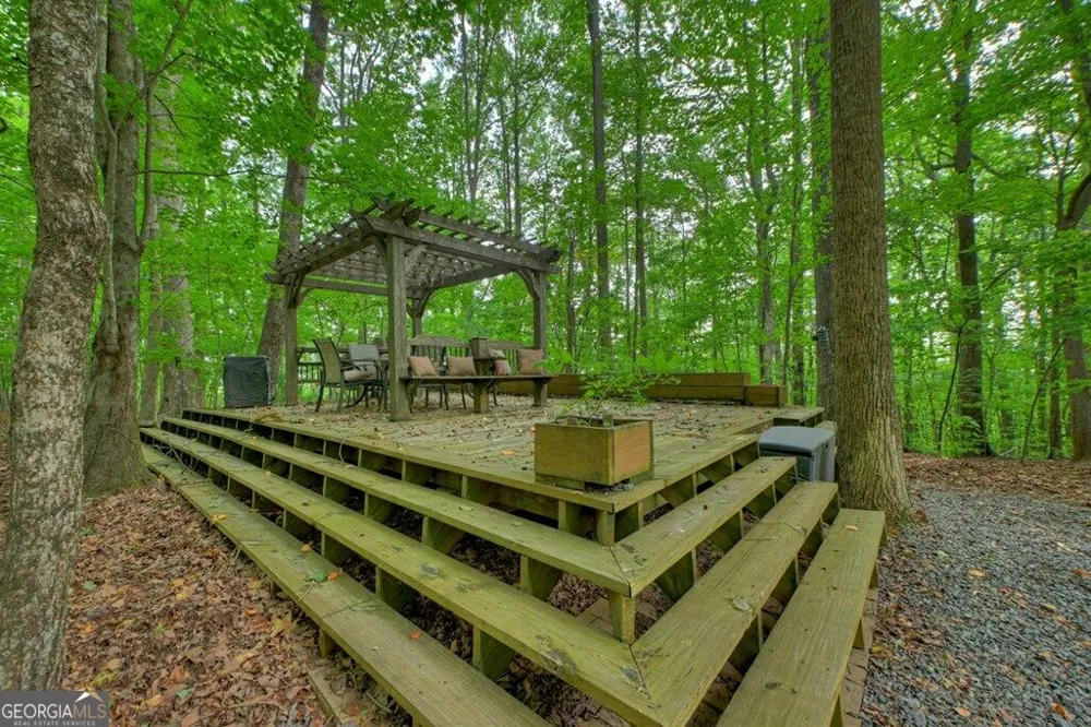 541 Little Bushy Head RD Blue Ridge, GA 30513