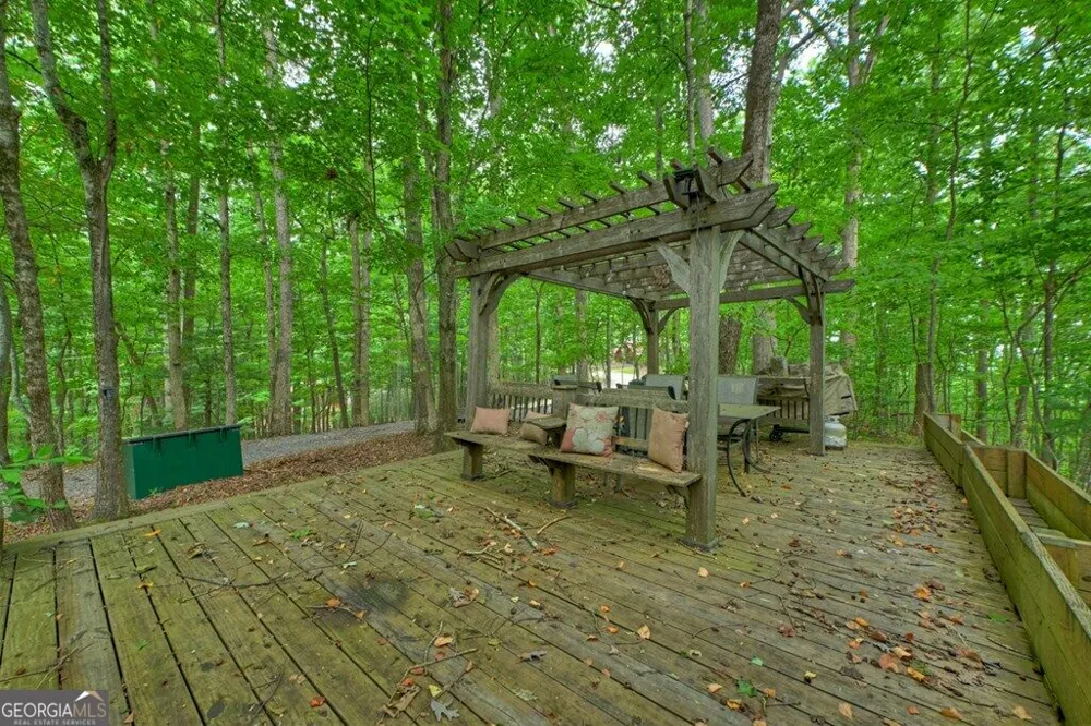 541 Little Bushy Head RD Blue Ridge, GA 30513