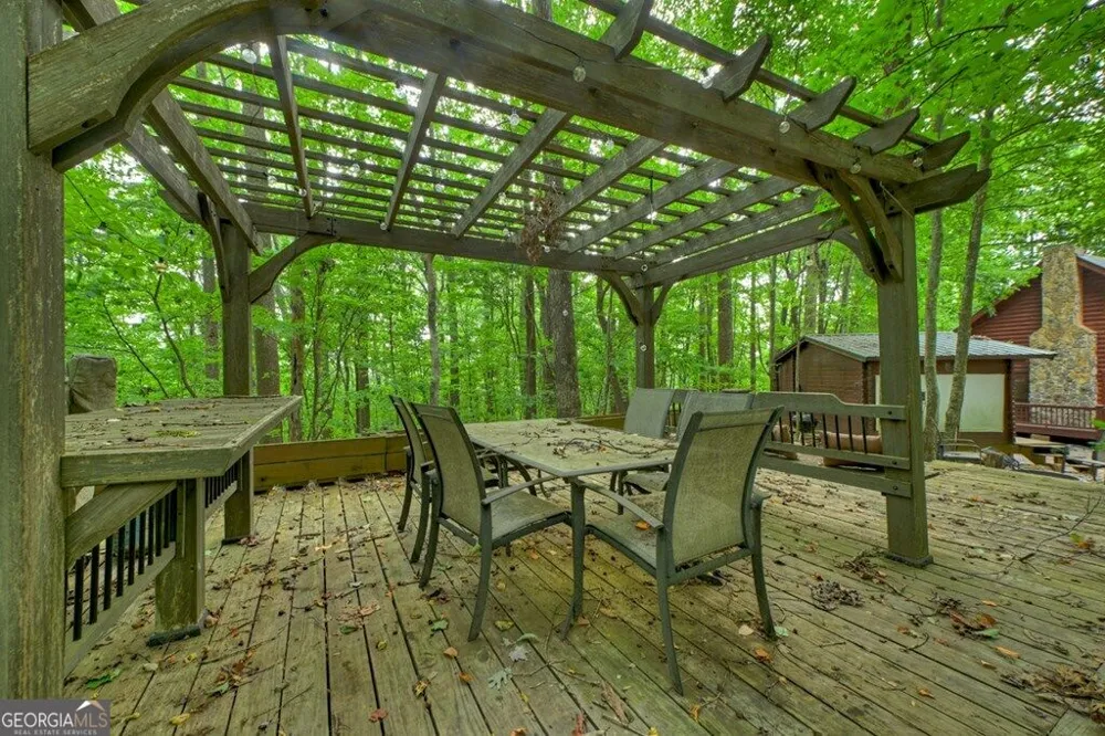 541 Little Bushy Head RD Blue Ridge, GA 30513