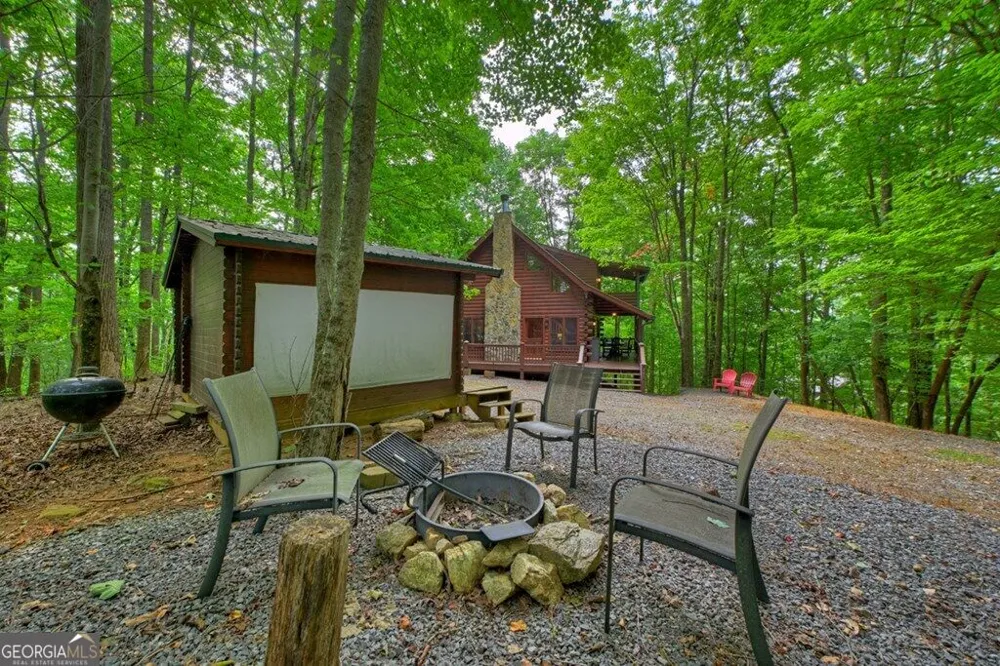 541 Little Bushy Head RD Blue Ridge, GA 30513