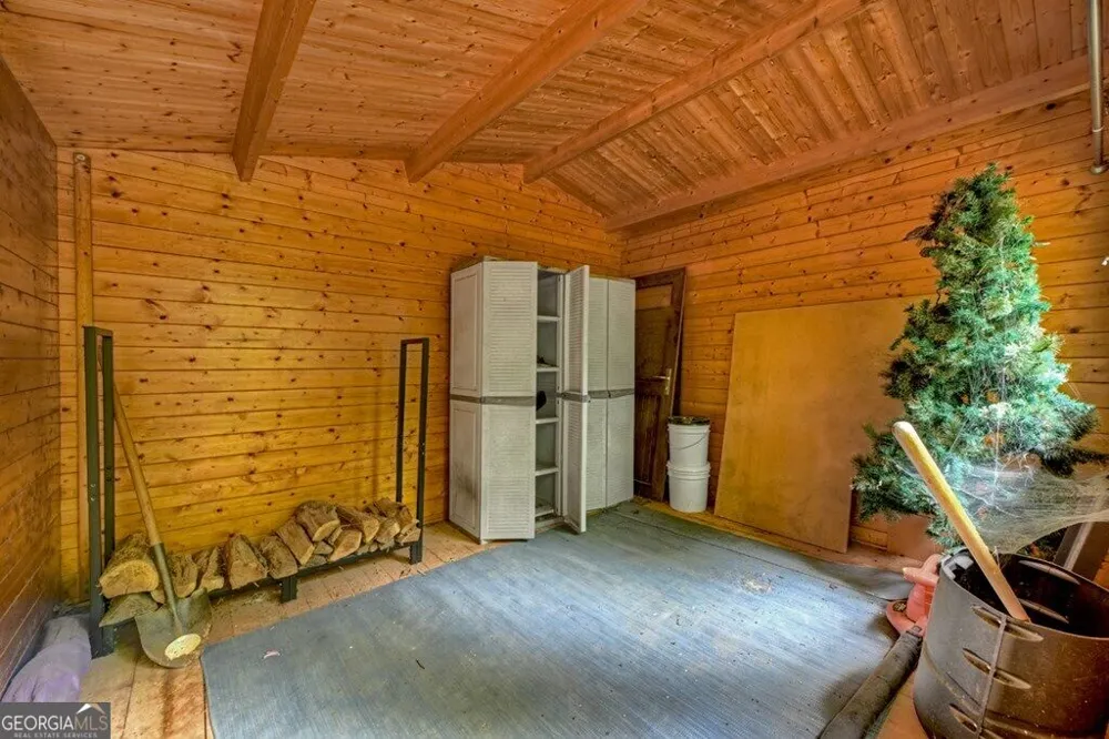 541 Little Bushy Head RD Blue Ridge, GA 30513