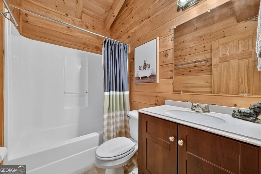 541 Little Bushy Head RD Blue Ridge, GA 30513