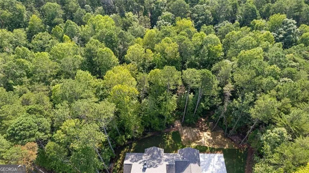 240 Highlands Chase Ball Ground, GA 30107