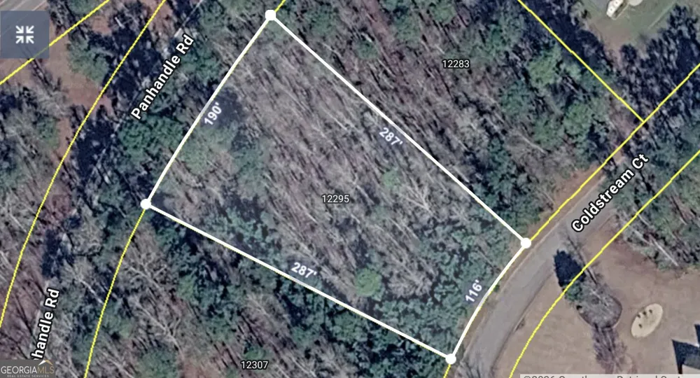 12295 Coldstream CT Hampton, GA 30228