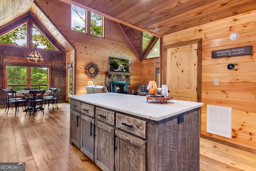 236 Hooch Holler LN Morganton, GA 30560