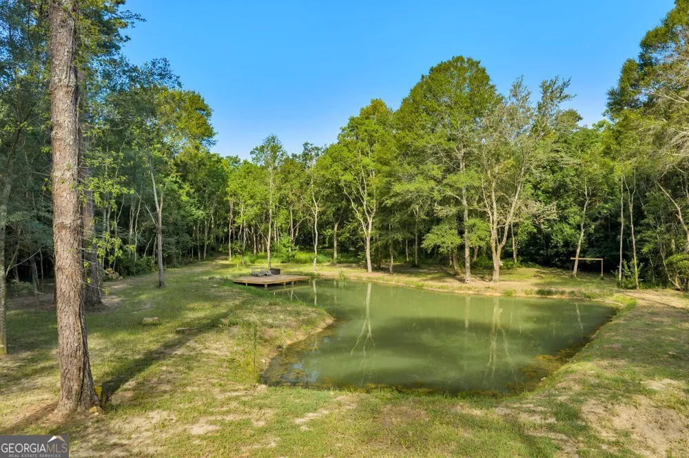 303 E Woodward ST Vienna, GA 31092
