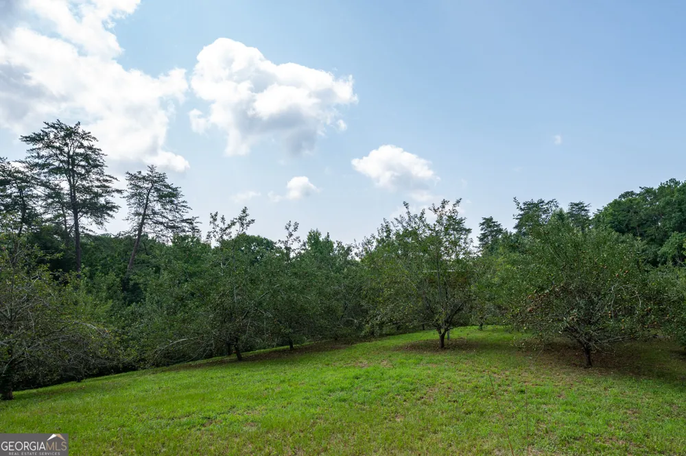 464 Poole RD Ball Ground, GA 30107