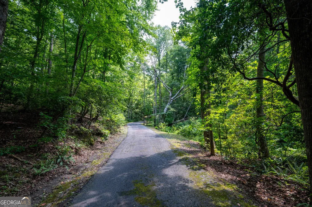 464 Poole RD Ball Ground, GA 30107