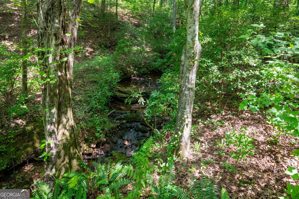 464 Poole RD Ball Ground, GA 30107