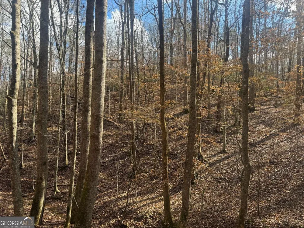 LOT 2750 Nimrod CT Ellijay, GA 30540
