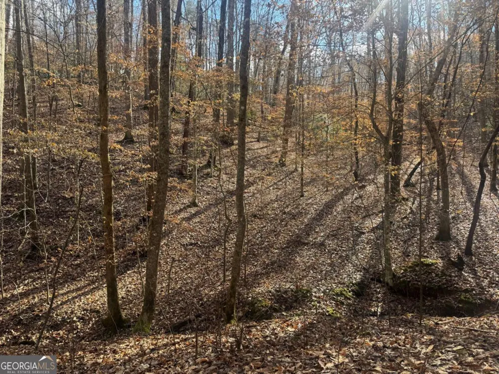 LOT 2750 Nimrod CT Ellijay, GA 30540
