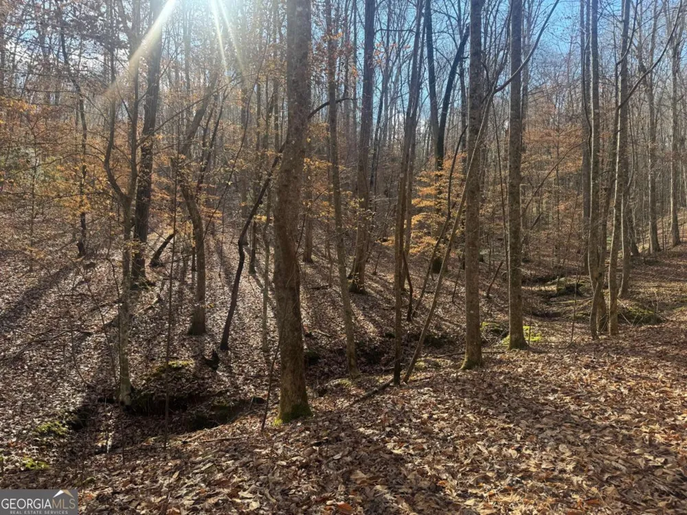 LOT 2750 Nimrod CT Ellijay, GA 30540