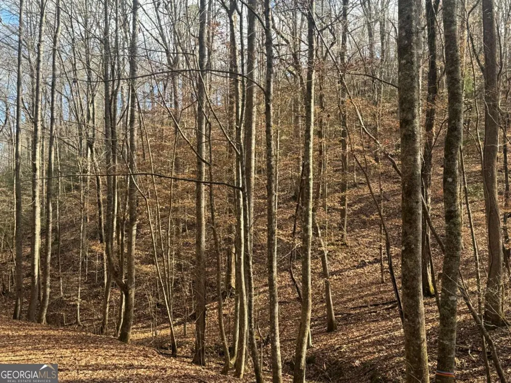 LOT 2750 Nimrod CT Ellijay, GA 30540