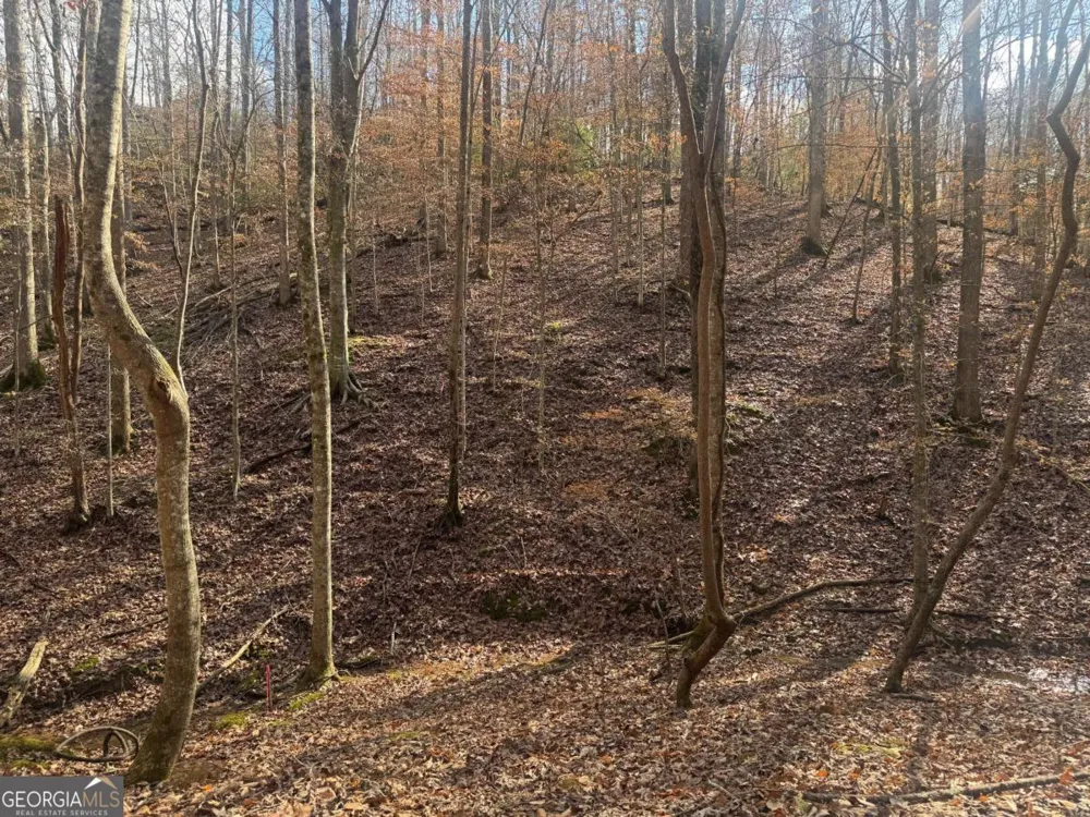 LOT 2750 Nimrod CT Ellijay, GA 30540