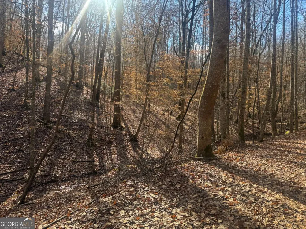 LOT 2750 Nimrod CT Ellijay, GA 30540