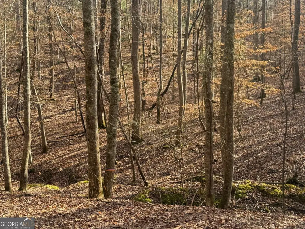 LOT 2750 Nimrod CT Ellijay, GA 30540