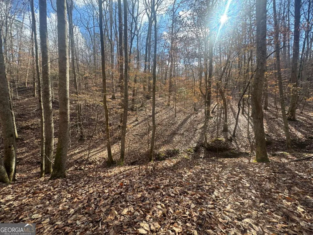 LOT 2750 Nimrod CT Ellijay, GA 30540