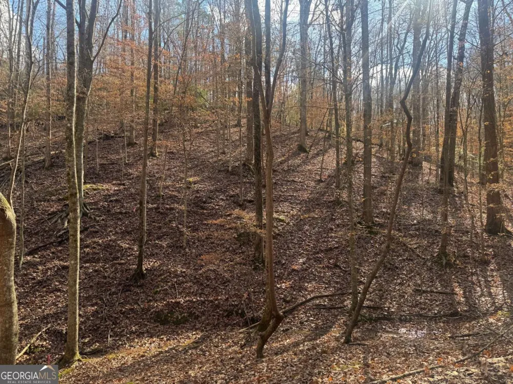 LOT 2750 Nimrod CT Ellijay, GA 30540