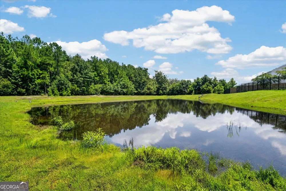 20 Nettleton LN Richmond Hill, GA 31324