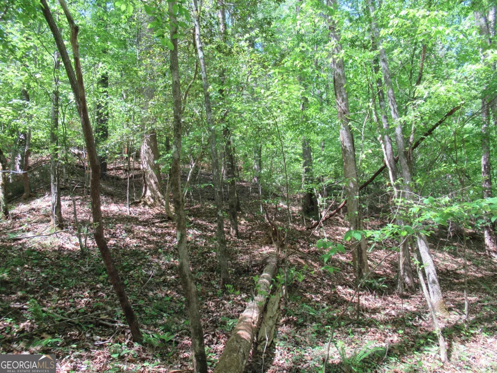 0 Chestatee DR Dahlonega, GA 30533