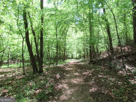 0 Chestatee DR