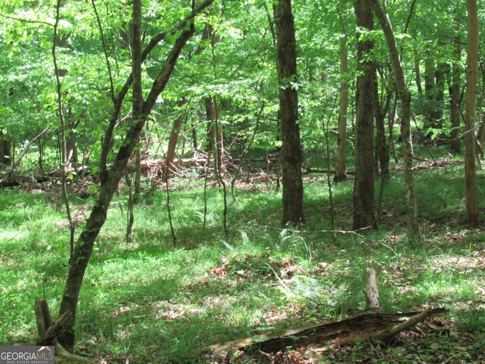 0 Chestatee DR Dahlonega, GA 30533