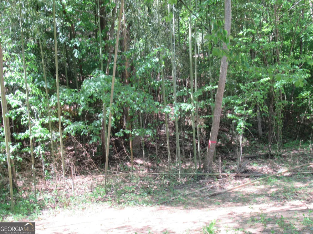 0 Chestatee DR Dahlonega, GA 30533