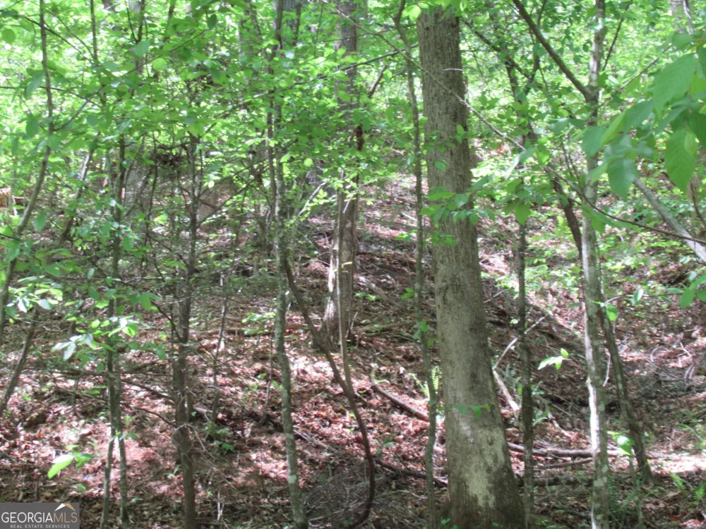 0 Chestatee DR Dahlonega, GA 30533
