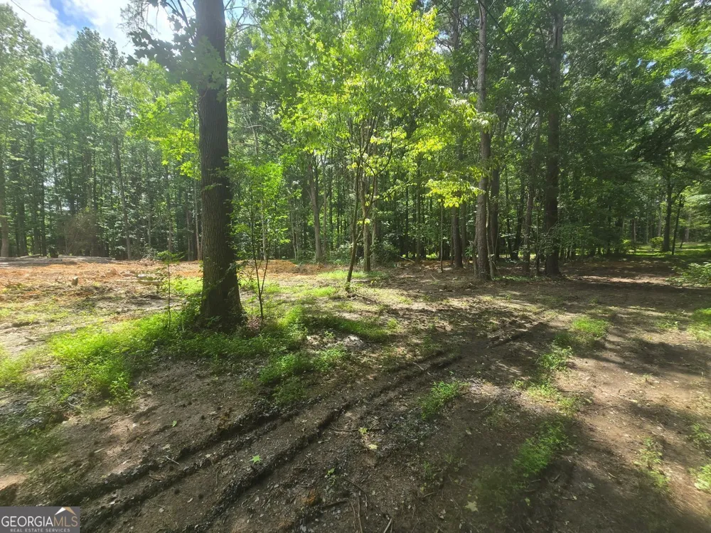 966 Judkin Mill RD Cedartown, GA 30125