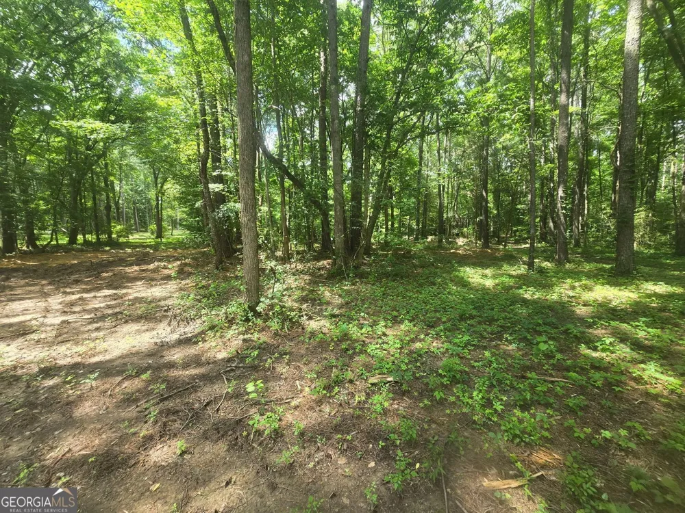 966 Judkin Mill RD Cedartown, GA 30125