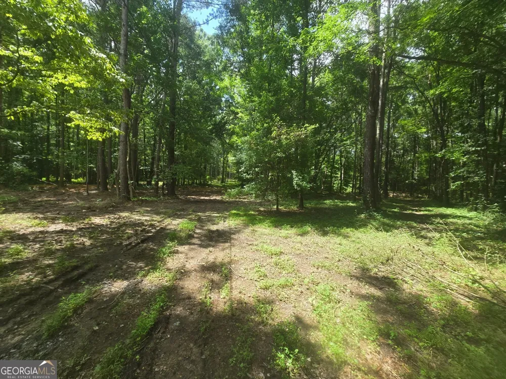 966 Judkin Mill RD Cedartown, GA 30125