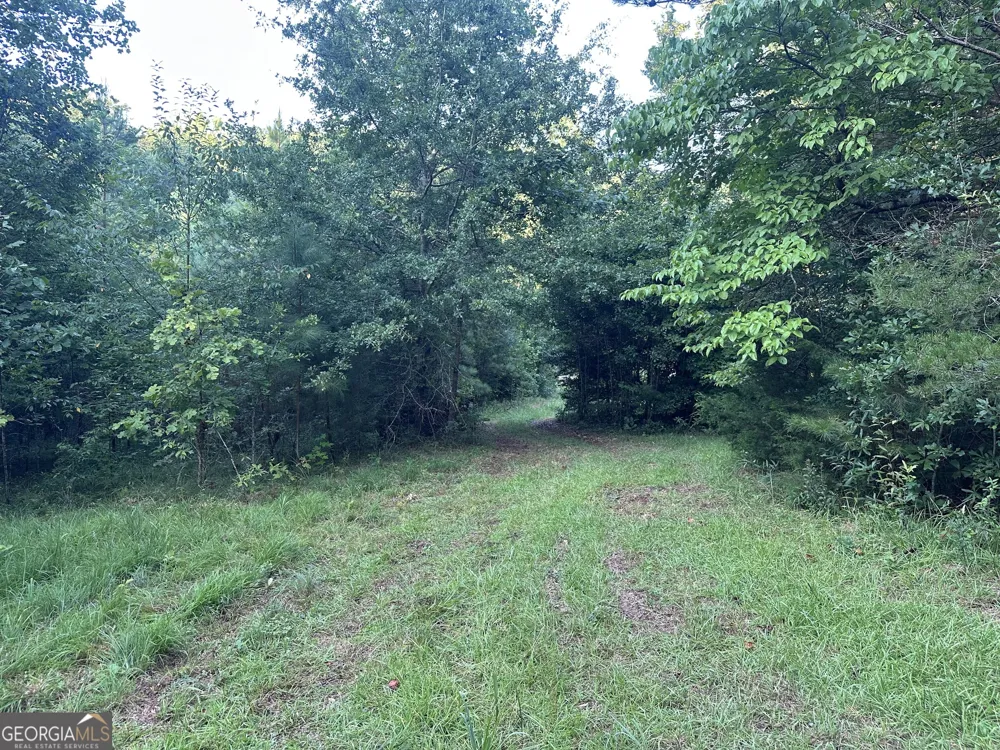 1069 Harbert Valley RD Toccoa, GA 30577