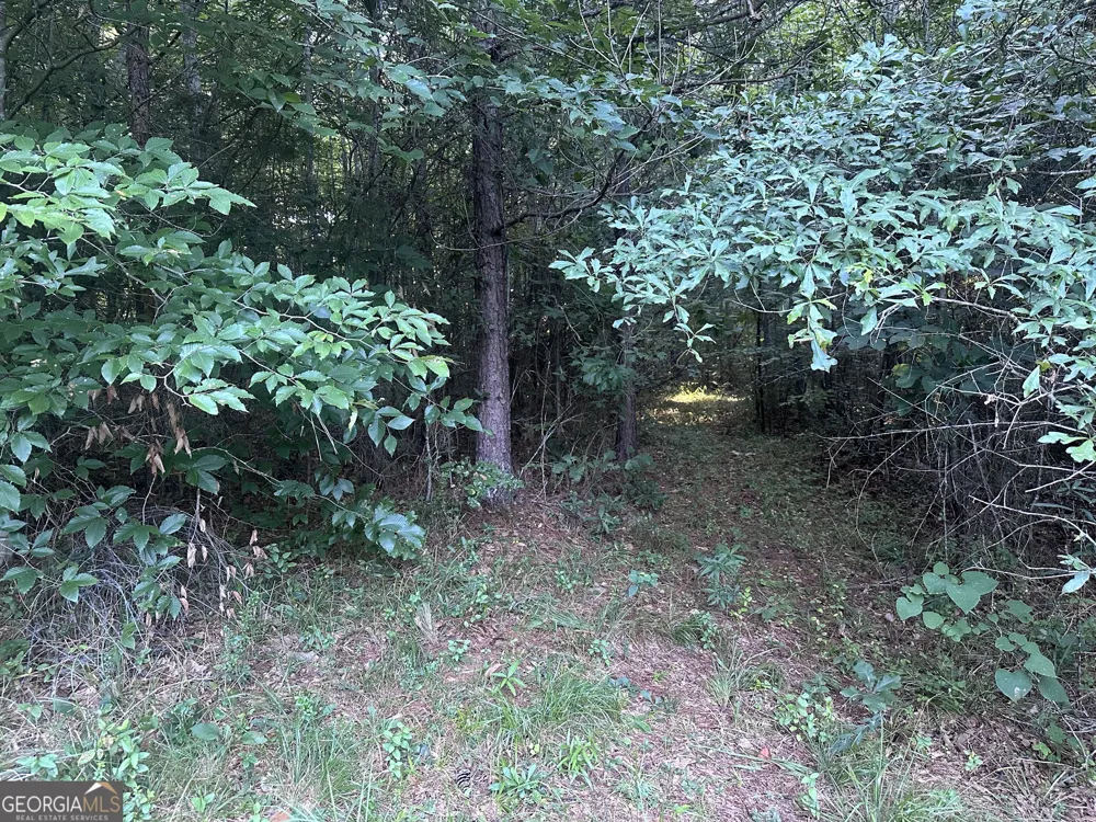 1069 Harbert Valley RD Toccoa, GA 30577