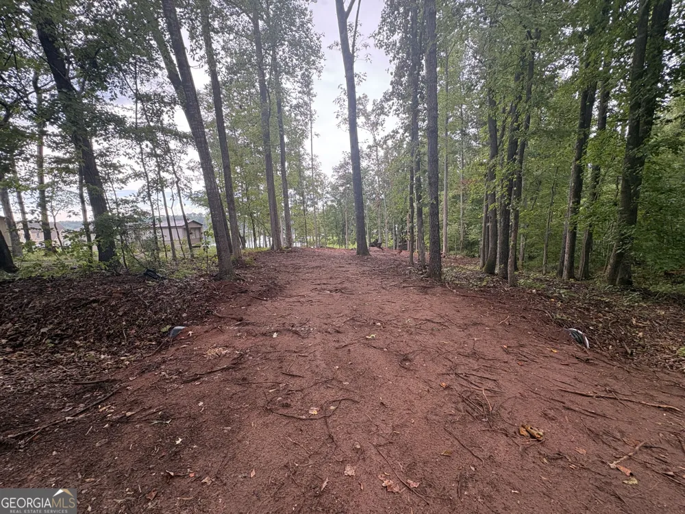 LOT 92 Sycamore DR Sparta, GA 31087