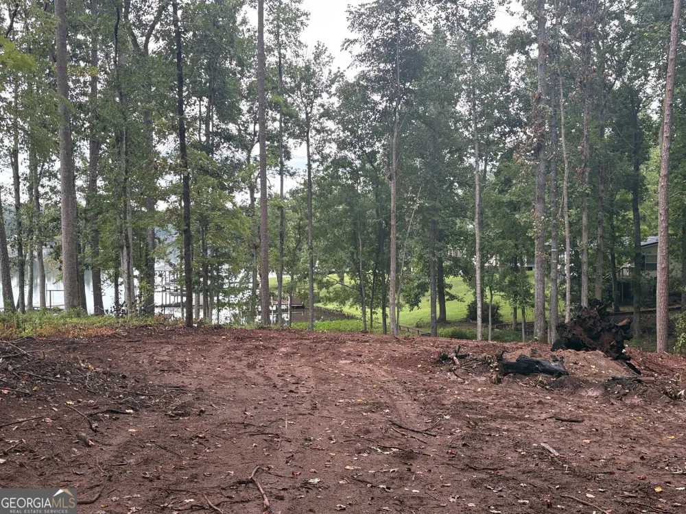 LOT 92 Sycamore DR Sparta, GA 31087
