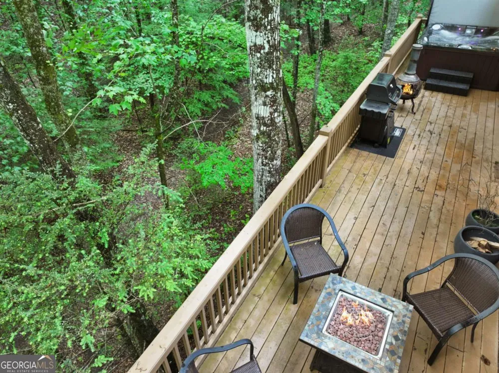 189 Cherry Lake DR Blue Ridge, GA 30513
