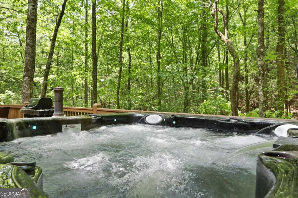 189 Cherry Lake DR Blue Ridge, GA 30513