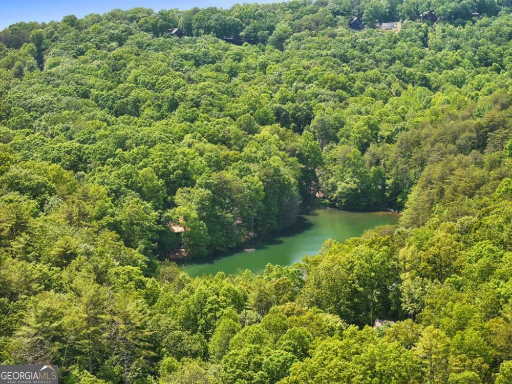 189 Cherry Lake DR Blue Ridge, GA 30513