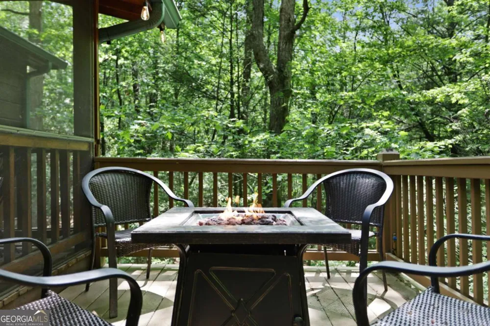 189 Cherry Lake DR Blue Ridge, GA 30513