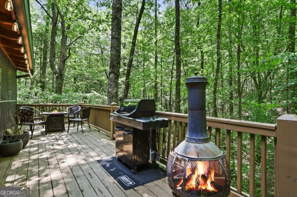 189 Cherry Lake DR Blue Ridge, GA 30513