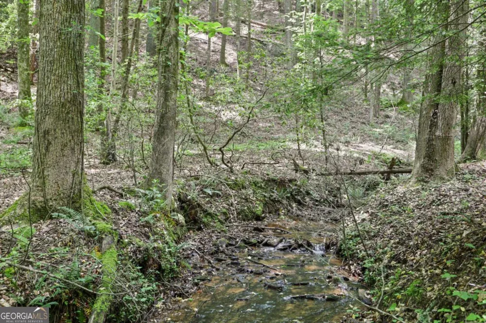 189 Cherry Lake DR Blue Ridge, GA 30513